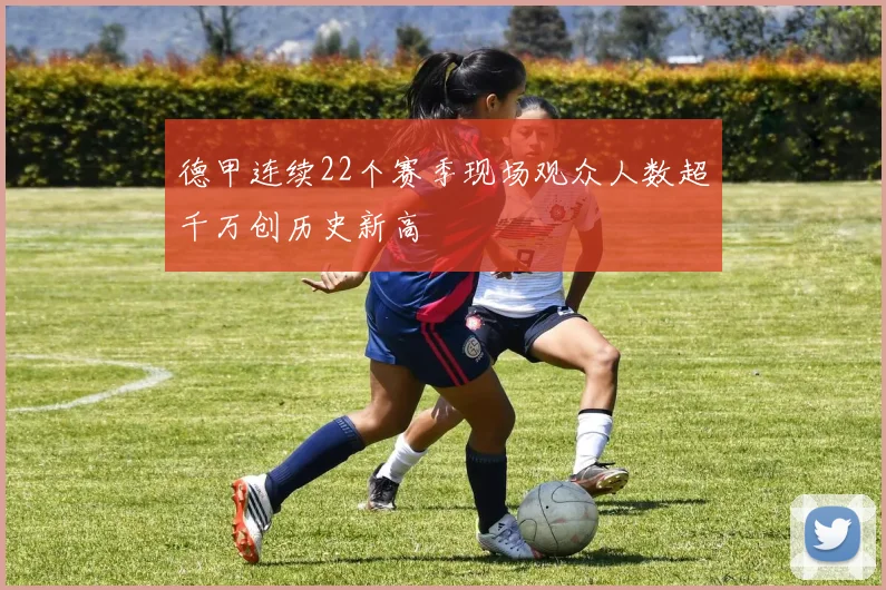 德甲连续22个赛季现场观众人数超千万创历史新高