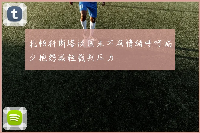 扎帕科斯塔谈国米不满情绪呼吁减少抱怨减轻裁判压力
