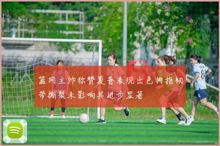 篮网主帅称赞夏普表现出色拇指韧带撕裂未影响其进步显著